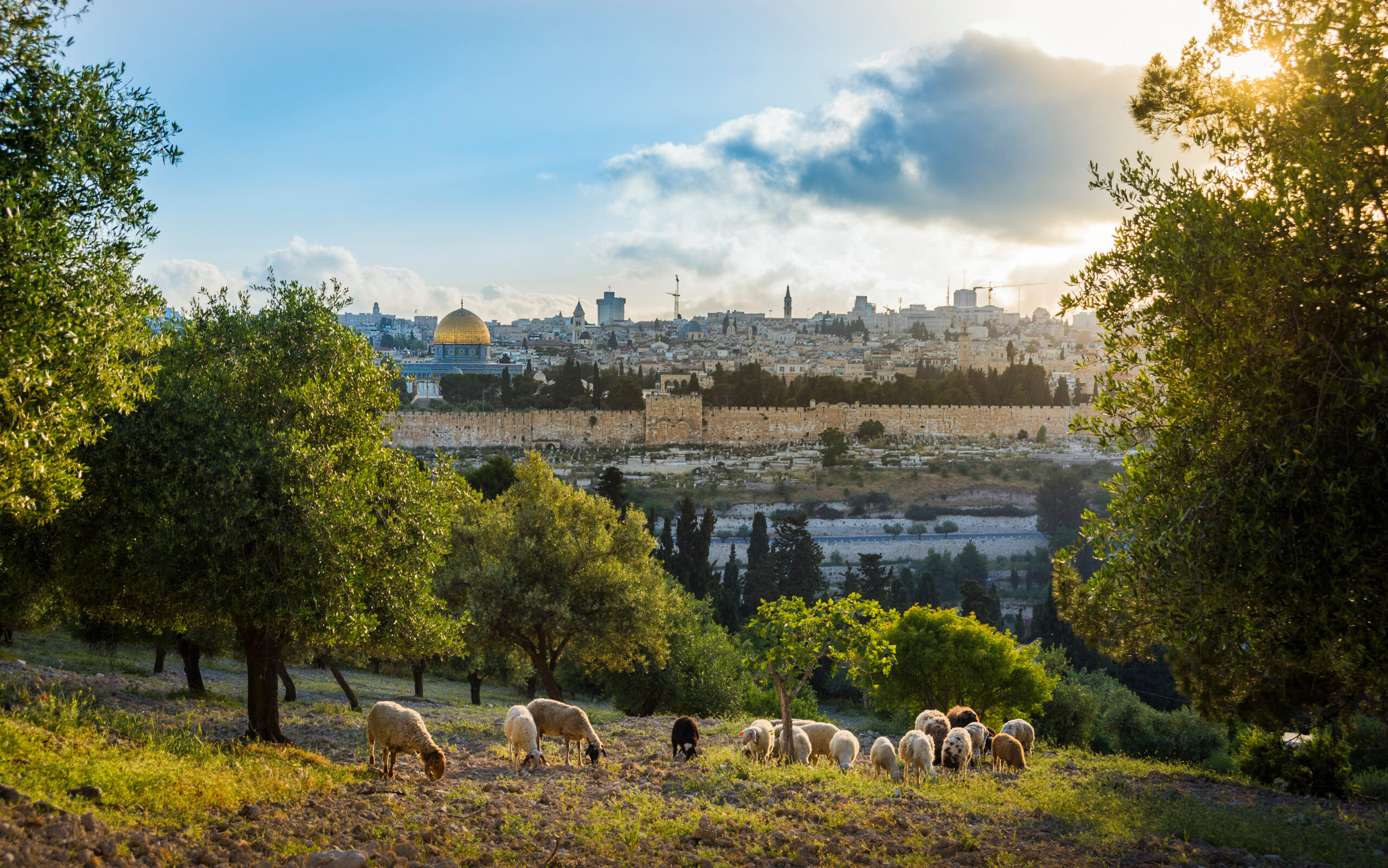 vista panorâmica da cidade de Jerusalem, destino de peregrinação cristã